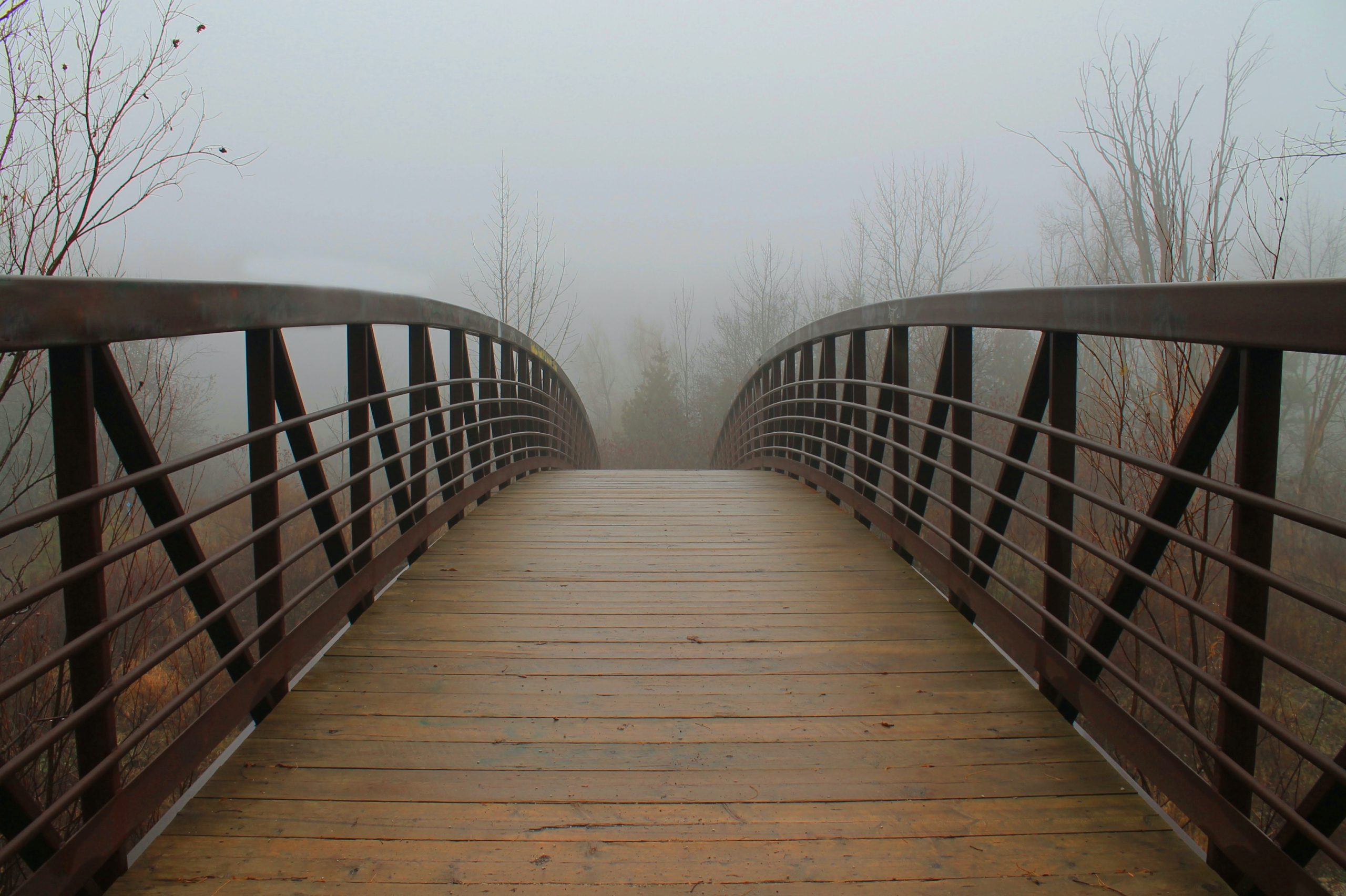 Wooden bridge