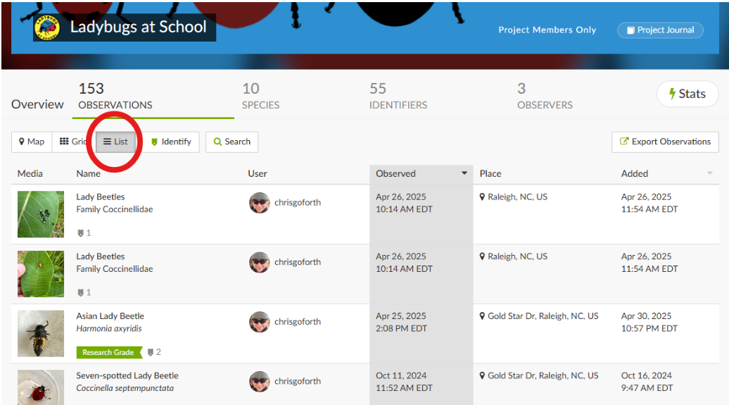 Screenshot 2025-05-29 015300